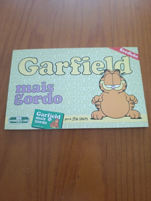 Lote de livros banda desenhada garfield