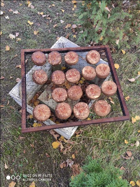 Wędzarnia drewniana.Podwójne ściany, komora olchowa..