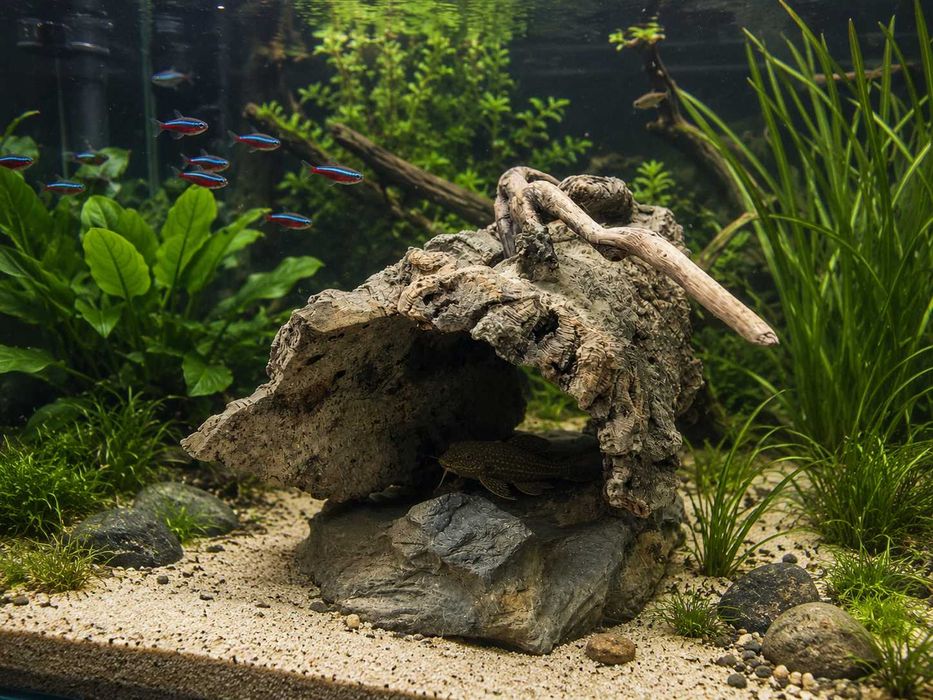 Bardzo duża grota   ok.30cm
