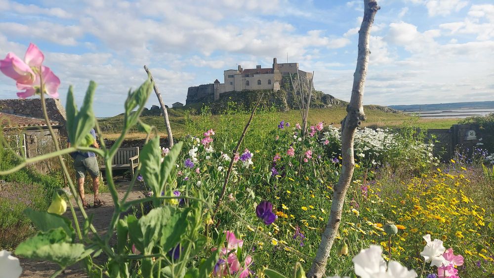 Ediçao de video e fotografia aérea filmagem com drone 4k