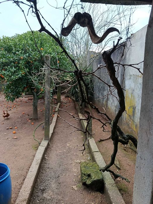 Vende-se barracao potencial para habitação