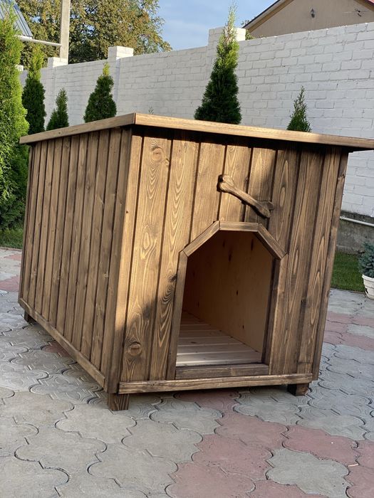 Буда для собак (кошенят)