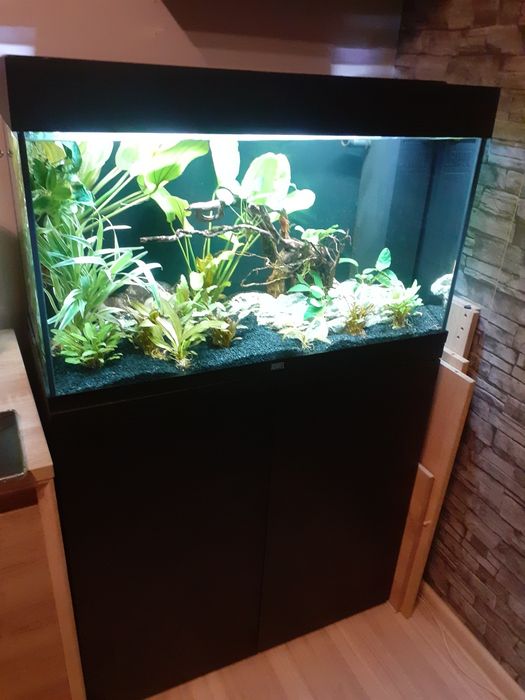 Sprzedam akwarium na gwarancji