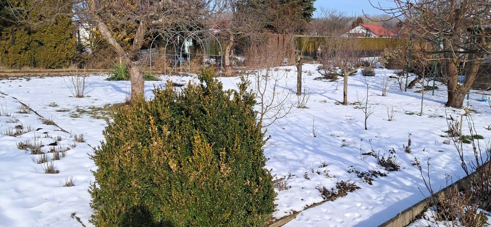 Działka ogrodnicza Puławy ROD Zacisze