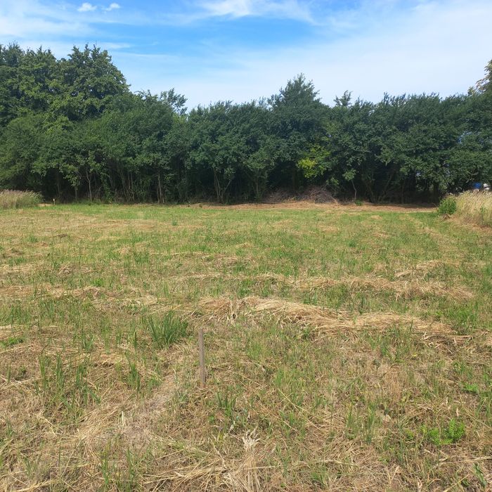 Земельна ділянка для будівництва в с.Дуліби