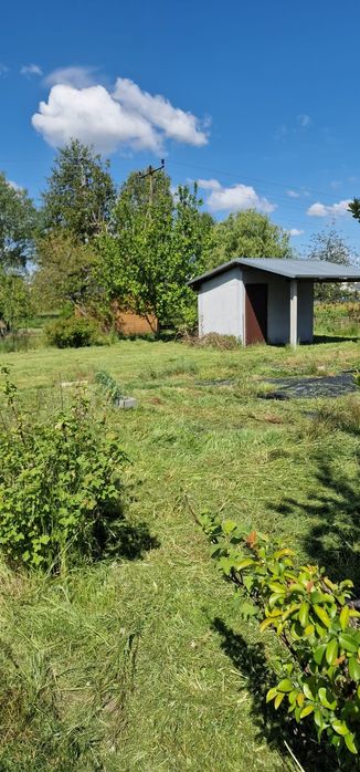 Działka ROD nr 4 w Wolsztynie