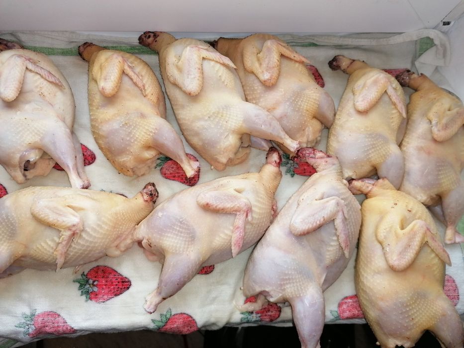 Своя Перепілка,добові,підрощі, сім'я,мясо