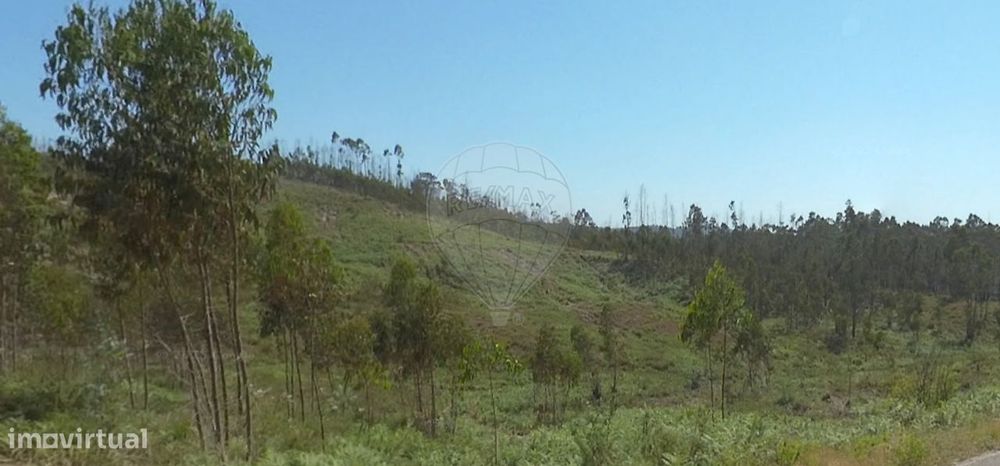 Terreno  para venda — Espite, Santarém