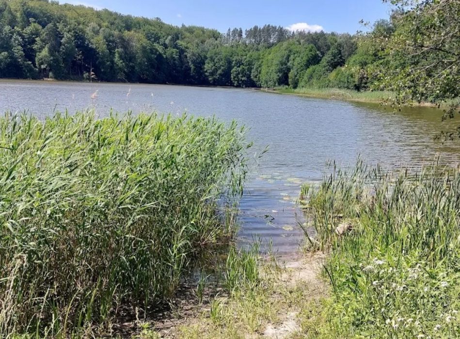 Cerkiewnik Bukwałd działka rolna nad jeziorem ,2 działki  w cenie 1 zamiana – další