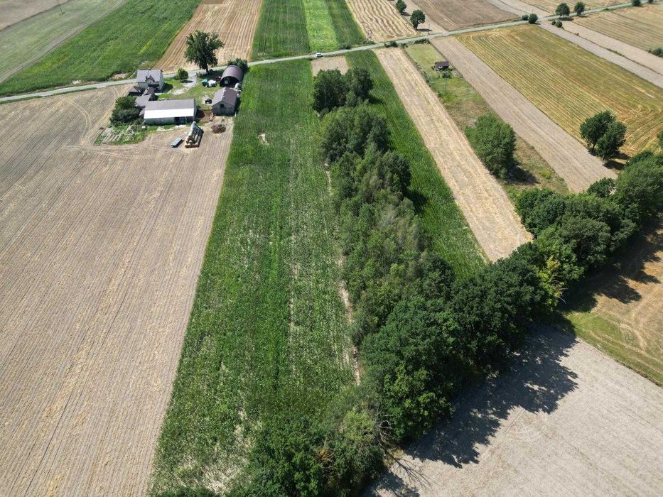 Działka  z możliwością zabudowy zagrodowej