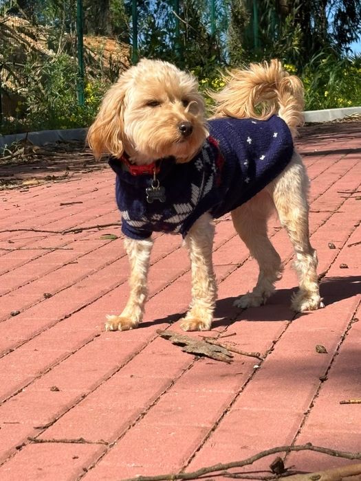 Hospedagem no meu domicilio