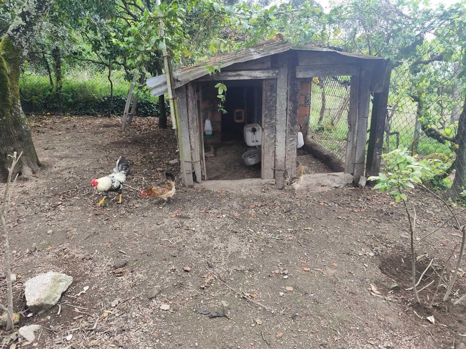 3 garnizes para venda