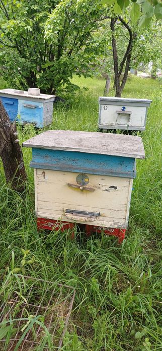 Продам вулики без бджіл