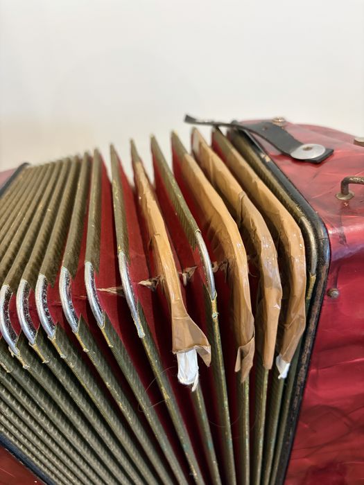 Acordeão Hohner Verdi Ii