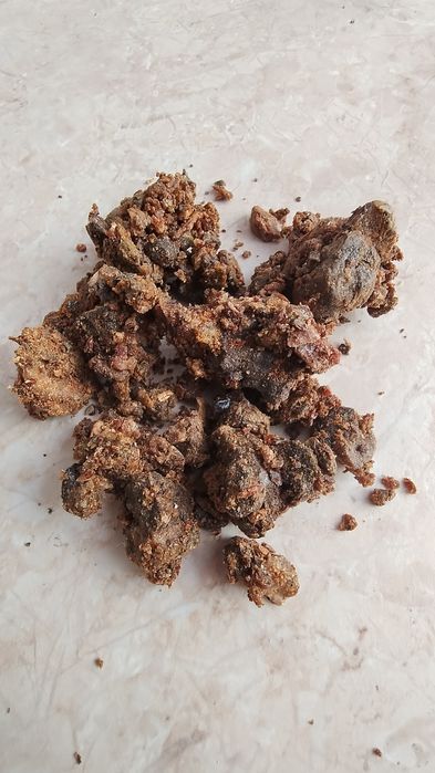 Kit pszczeli, propolis.2025