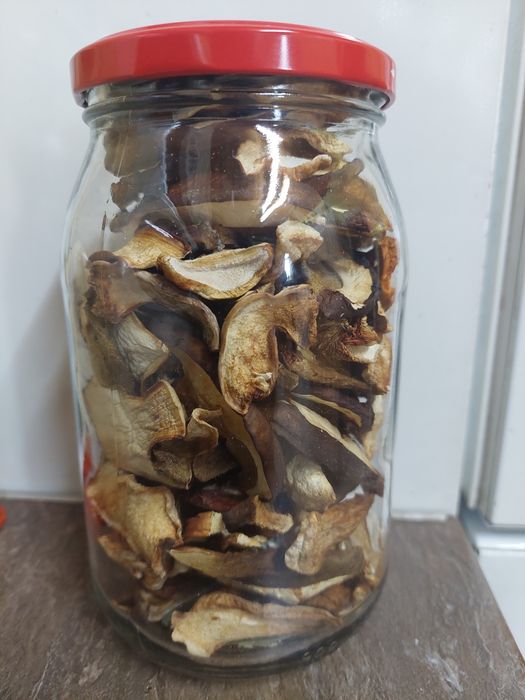 Suszone grzyby borowik / prawdziwek