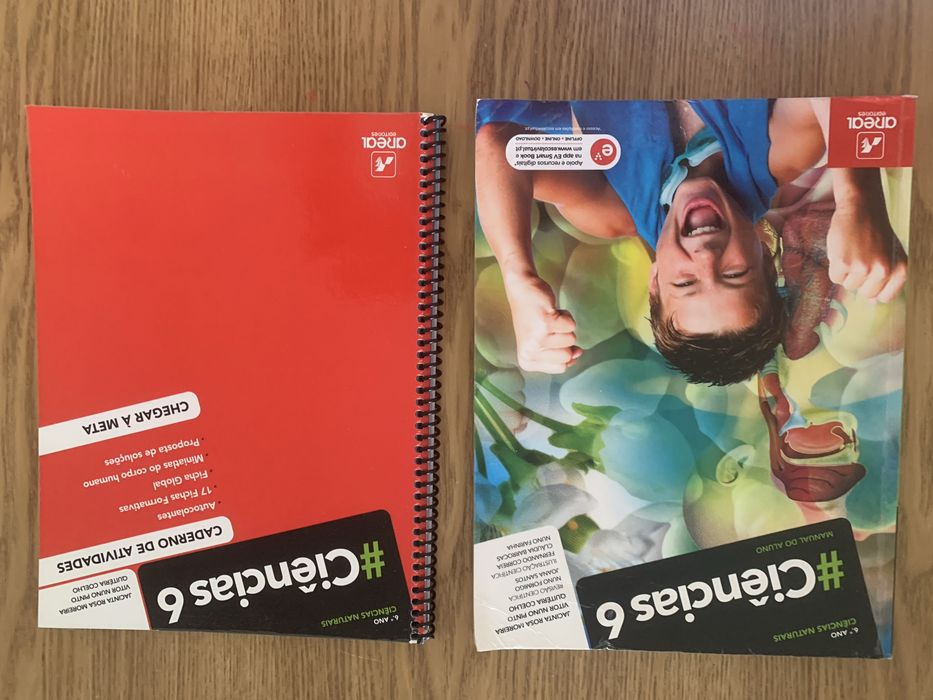 Manuais / livros - 6º ano