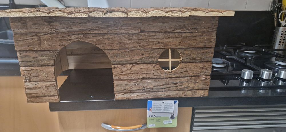 Vendo coelho orelhudo (8 meses)