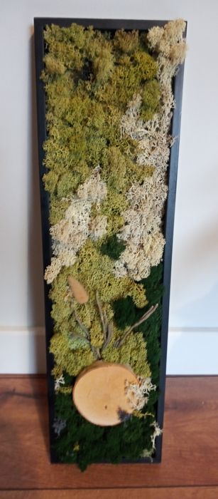 Obraz z mchu stabilizowanego