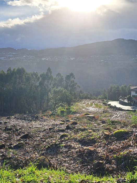 Terrenos para construcao