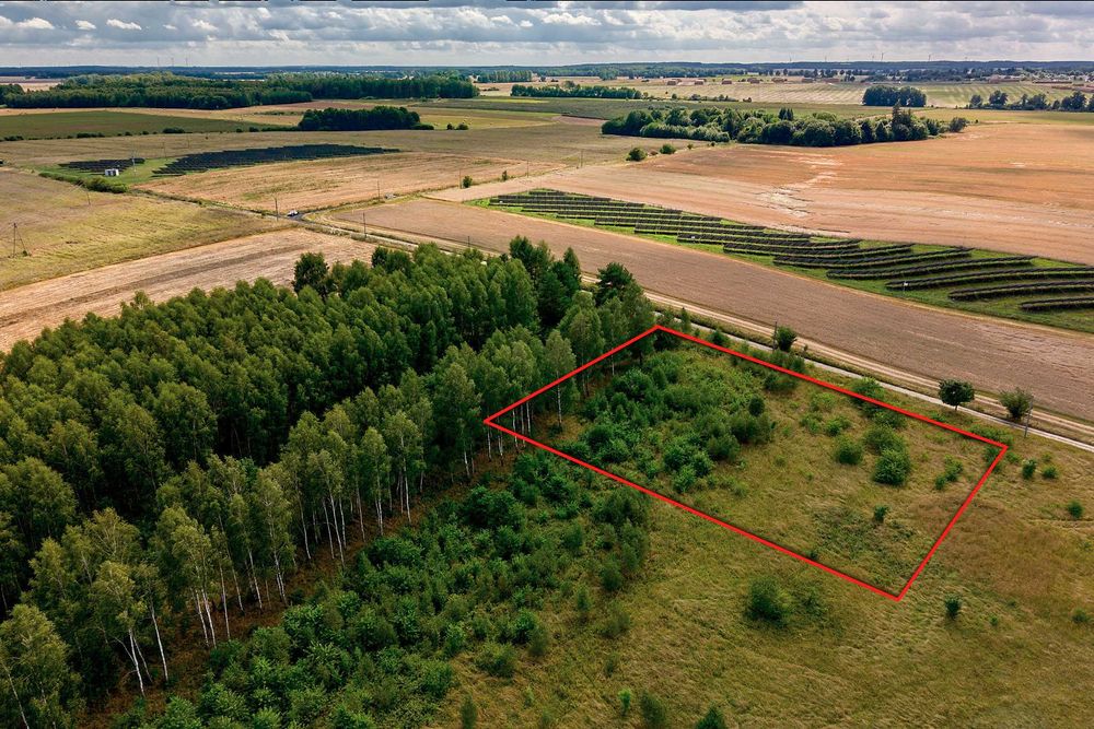 Działka budowlana 3000 m² z wydanymi WZ na wzniesieniu - Anielin, gm. Okonek