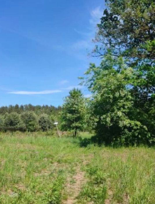 Działka budowlana 2376 m2 Warszawa Kąty Węgierskie jest możlwość kupienia połowy działki po podziale