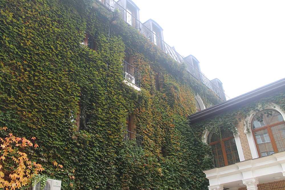 Commercial real estate at st. Zhilyanskaya (area 1500 m²) - Atlanta.ua - photo 5