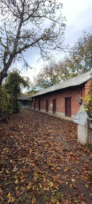 Будинок у с. Лучківці