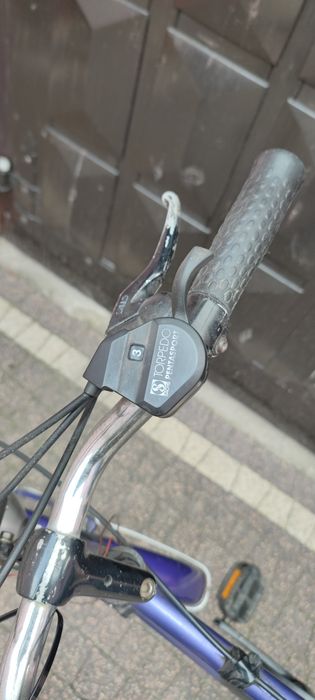 Rower Holenderski męski
