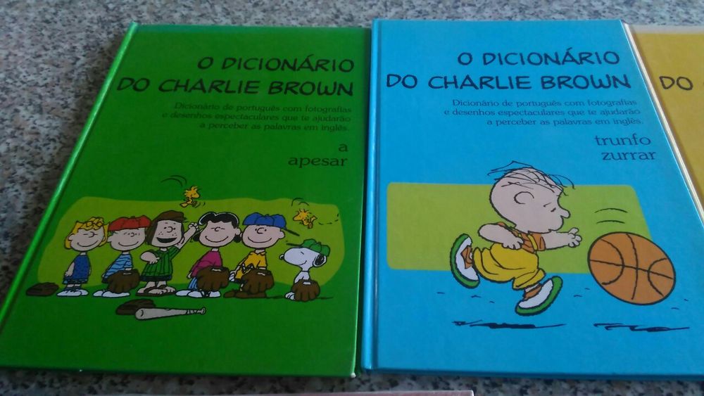 Vários dicionários novos