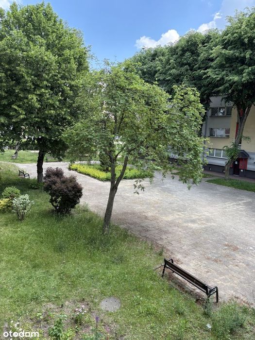 2 pokoje | 46 m² | I piętro | balkon | duża piwnica | Armii Krajowej - Widok 3