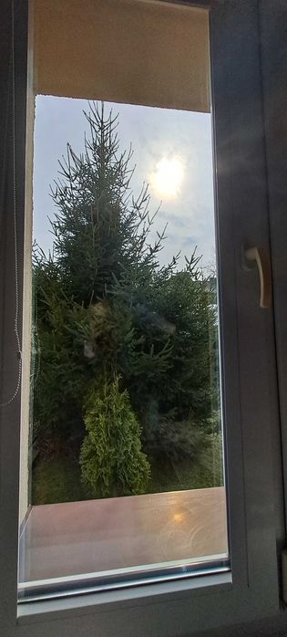 Sprzątanie domów, piwnic,strychów,pranie tapicerki meblowej