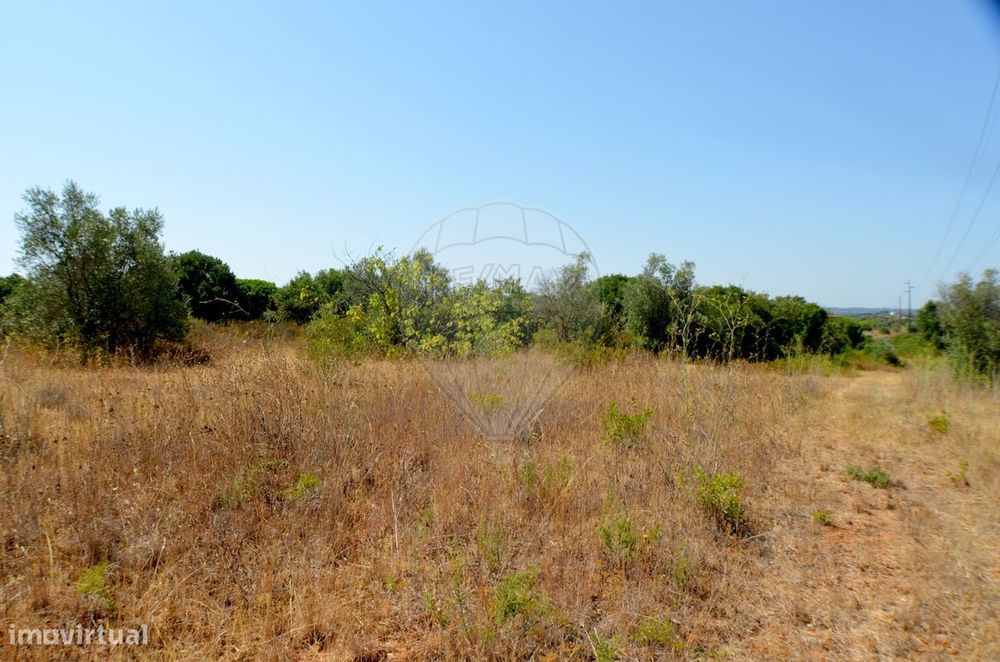 Terreno  para venda