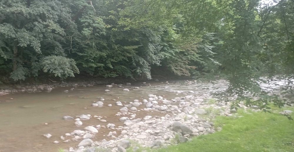 Ціну змінено! Продаємо ділянку у Квітки Полонини Солочин Закарпатськ