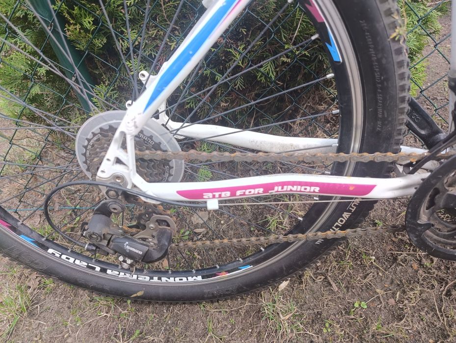 Rower górski  koła 26