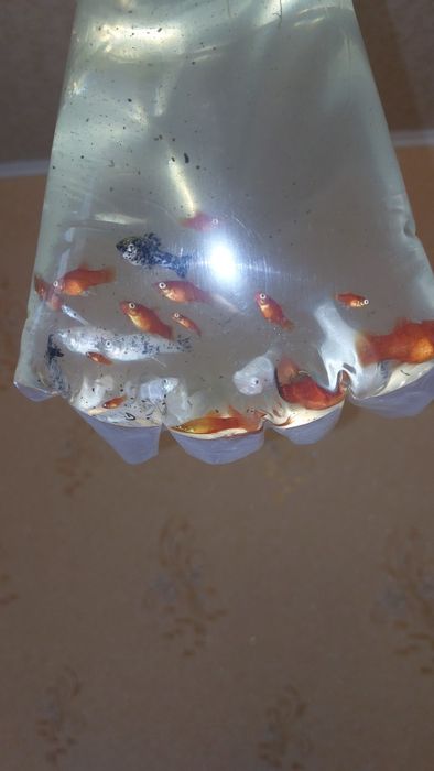 Аквариумный набор (растения + рыбки)