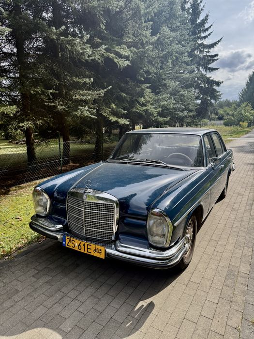 Mercedes 280s W108 żółte tablice