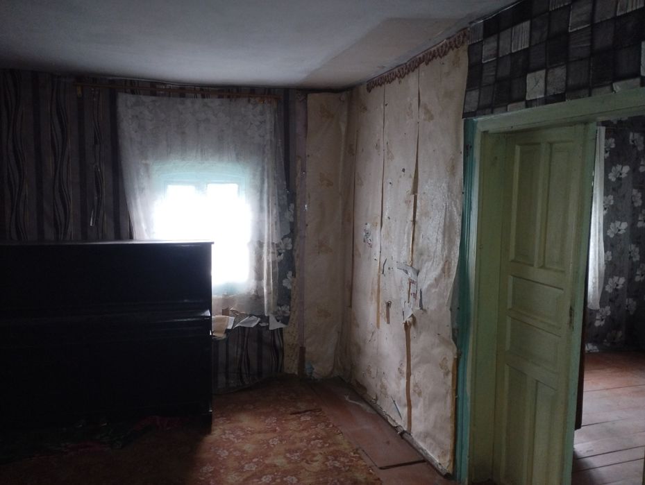 Будинок з земельною ділянкою