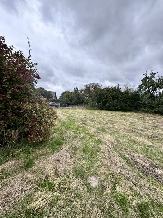 Продаж ділянки 50 сотих с.Романів