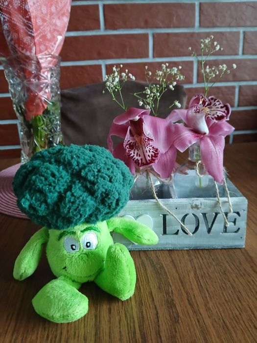 Brokuł junior gang świeżaków