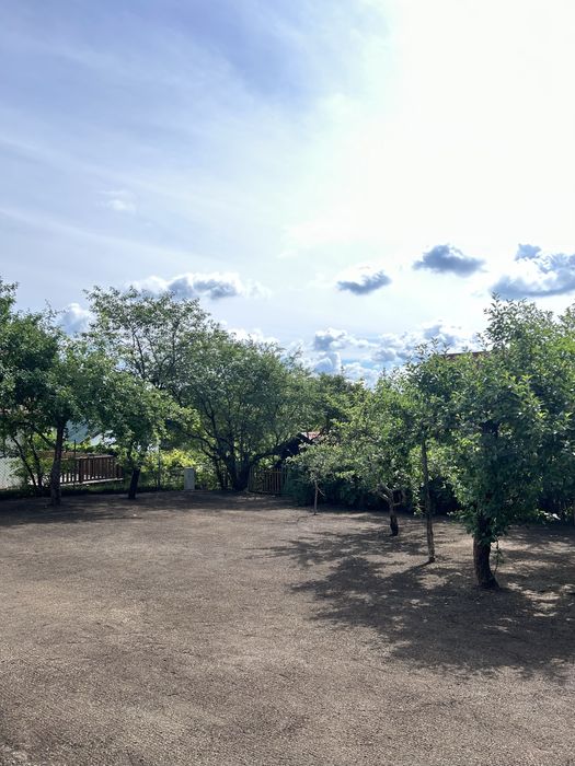 Usługi ogrodnicze - Zakładanie ogrodów / Systemy nawadniające.