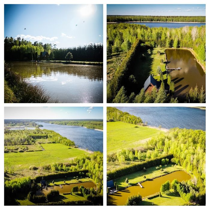 Domek Letniskowy, Mazury, RYBY, GRZYBY, Ostr