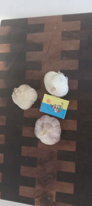 Продам часник і зубок