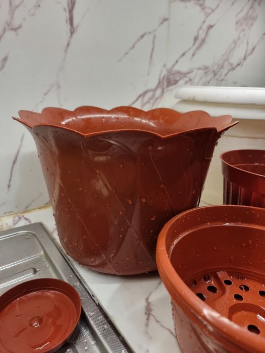 Пластиковые горшки от 15 до 20 см в диаметре