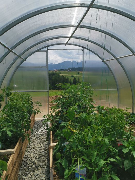 Poliwęglan komorowy 4-6 mm na szklarnie zadaszenia DOSTWA GRATIS