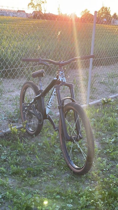 Dirt Ns bikes liar