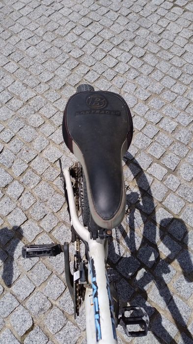 Duas bicicletas de Montanha TREK e BH