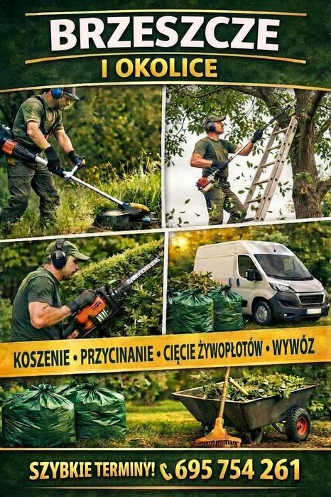 Tuje - Ciecia - Porządki / Brzeszcze
