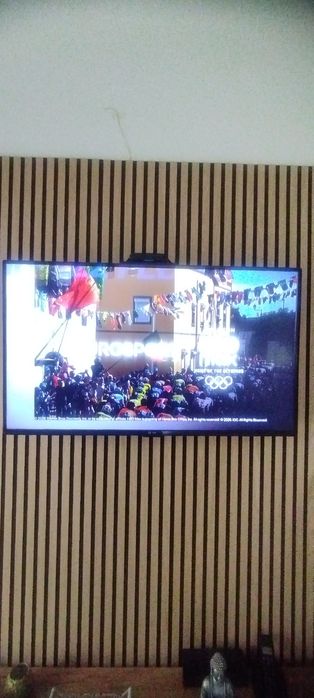 43-inch Smart TV444867750019747841