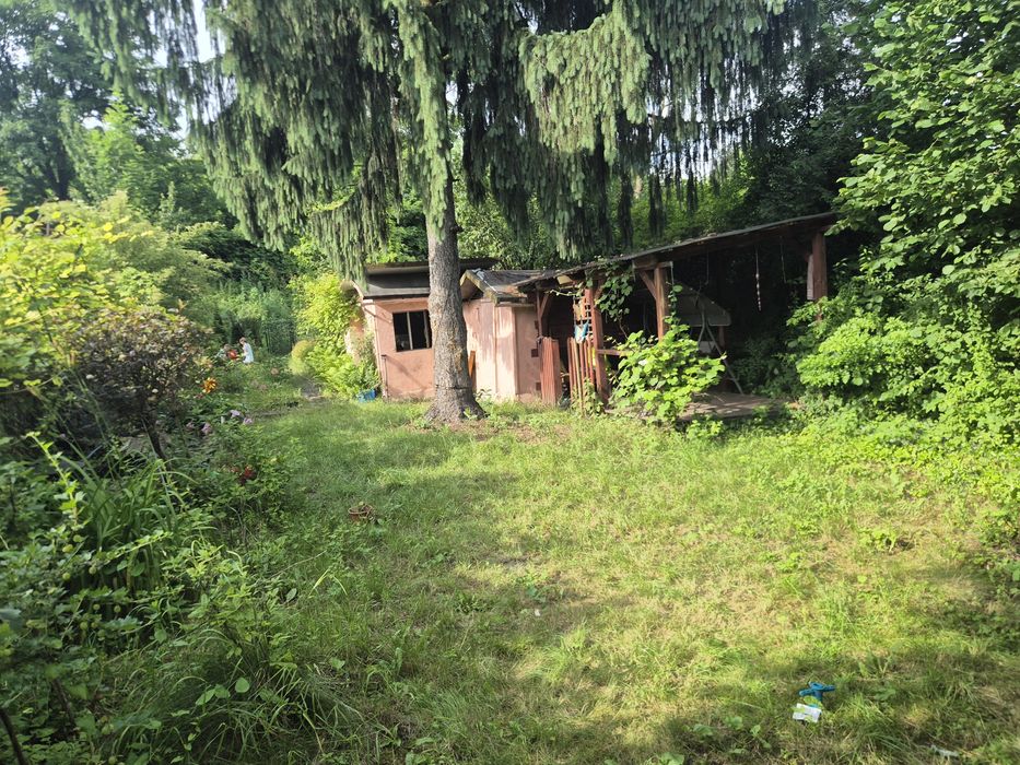 Sprzedam ogródek działkowy "Skłodowskiej Curie " Ruda Śląska - Widok 3